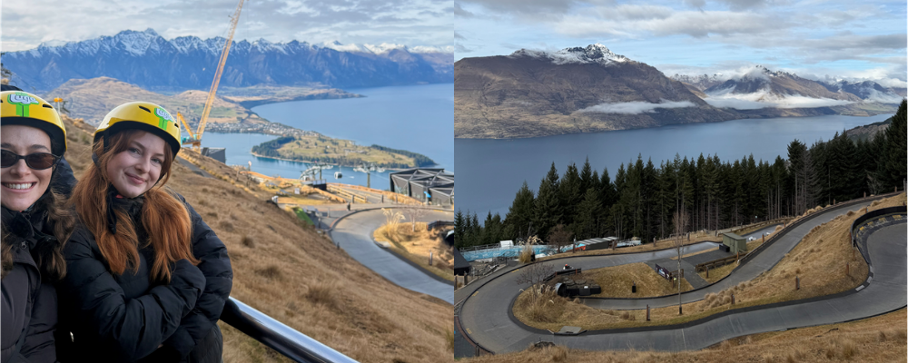 Luge