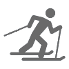 Ski Icon