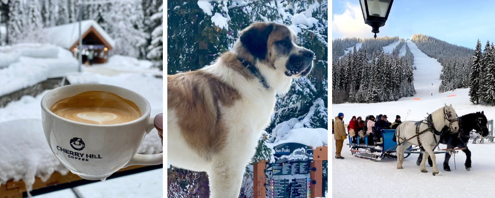 Things to do in Sun Peaks